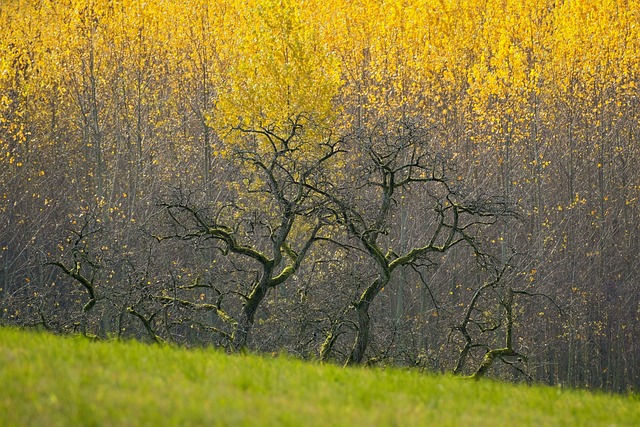 가을-단풍놀이-준비물-체크리스트
