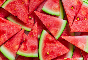 수박껍질 분리수거 하는 법