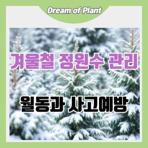 겨울철 정원수 관리 썸네일 이미지