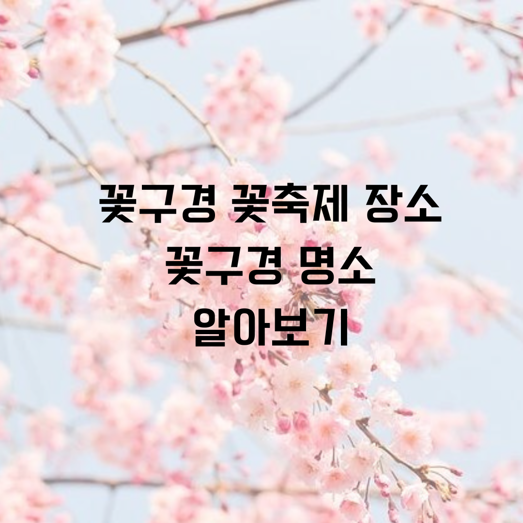 꽃구경-꽃구경-명소-꽃축제