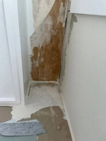 장마철 곰팡이 제거방법 꿀팁 정리 완벽 가이드_20