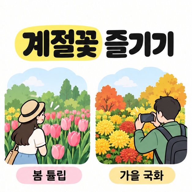 봄 튤립을 감상하는 방문객과 가을 국화를 촬영하는 방문객을 계절별로 비교한 모습