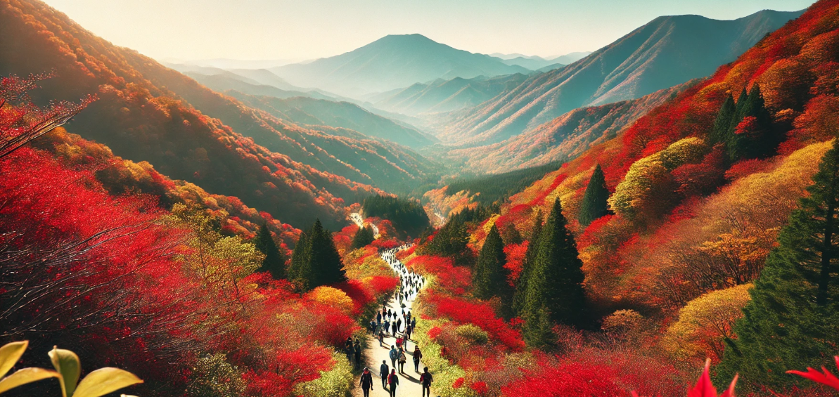 일본 자연을 즐기는 하이킹 코스 관련 사진