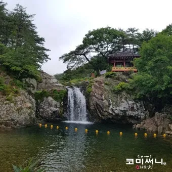 상주 가볼만한곳 맛집 추천 카페 겨울 베스트 10_20