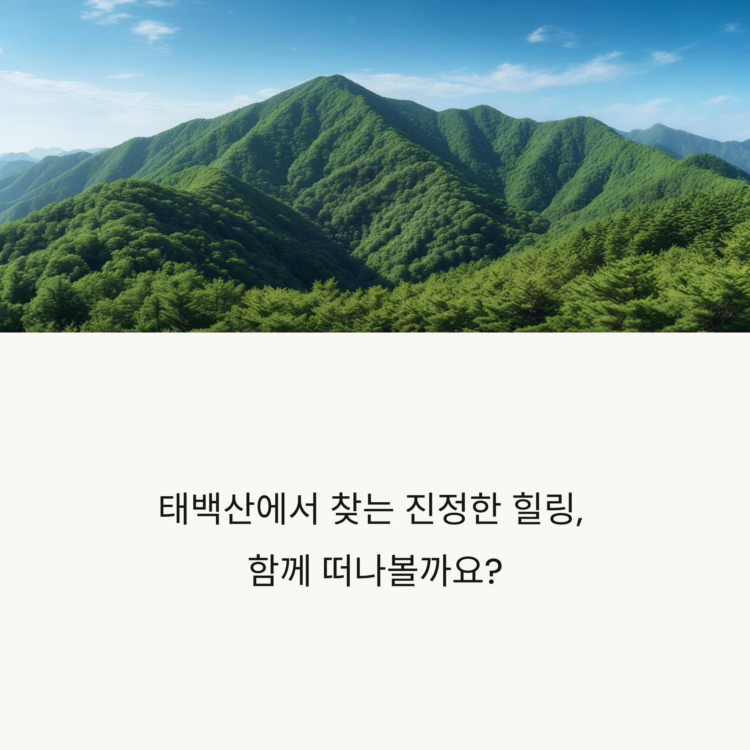 태백산 힐링 트레킹