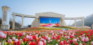 용인에버랜드