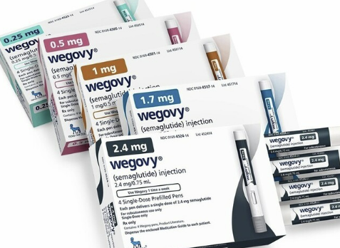 위고비 가격 효과 사용법 총정리 : 다이어트의 새로운 기준