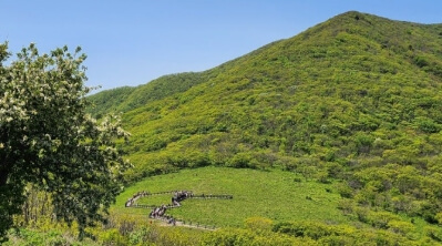곰배령 예약 및 등산코스 안내
