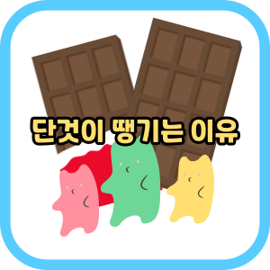단것이 땡기는 이유