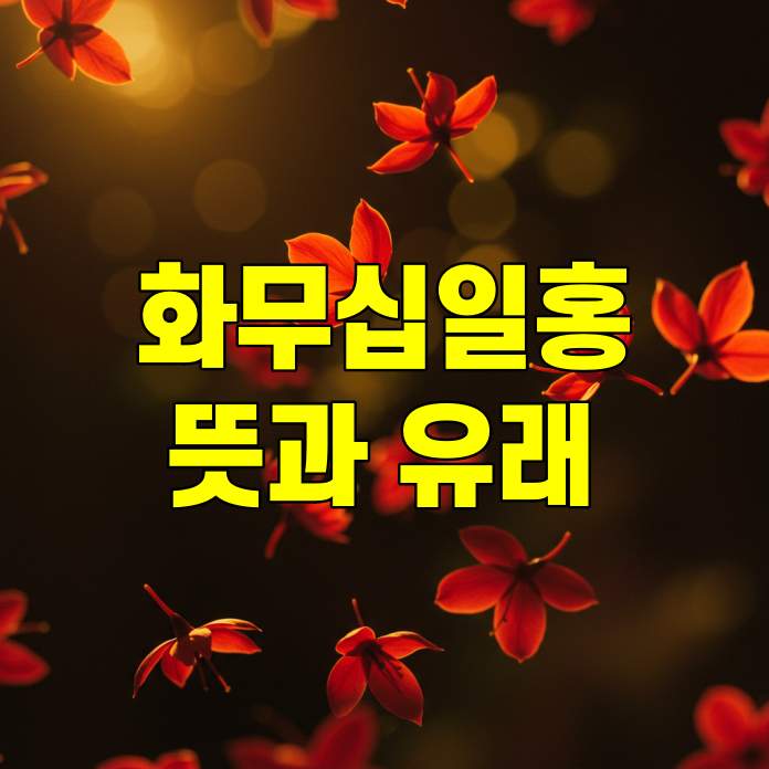 화무십일홍 뜻과 유래