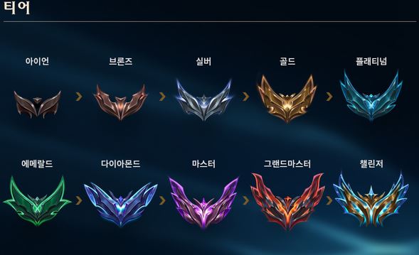 롤대리