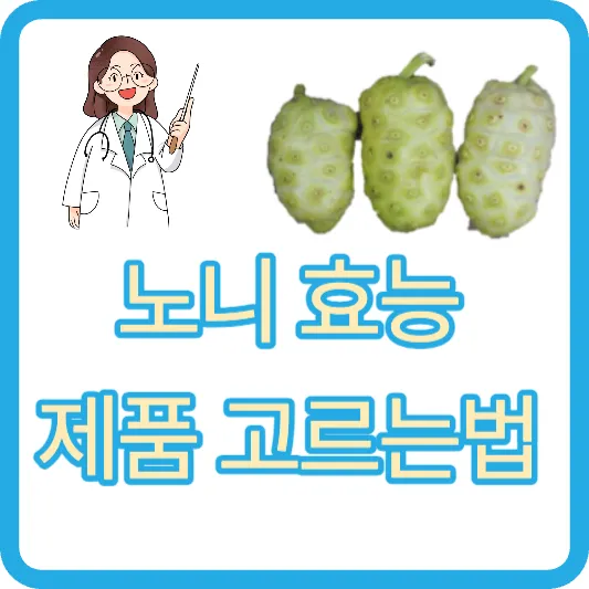 노니 효능