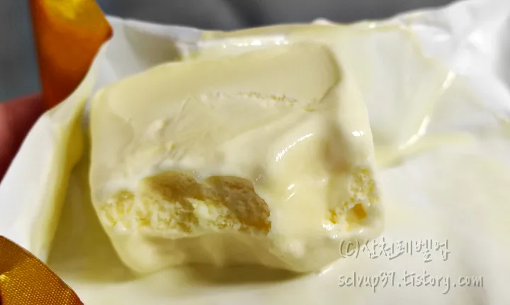 프렌치 바닐라 단면