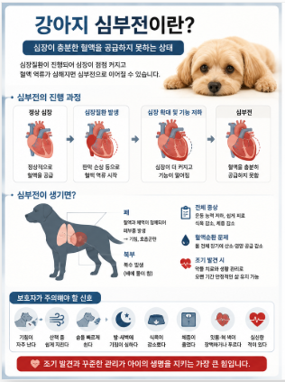 강아지 심부전,조기발견이 중요한 이유? #5-"강아지 심부전 치료비 및 월 유지비 총정리(2026년 기준)"조기발견이 아이의 나머지 삶의 질을 좌우한다"