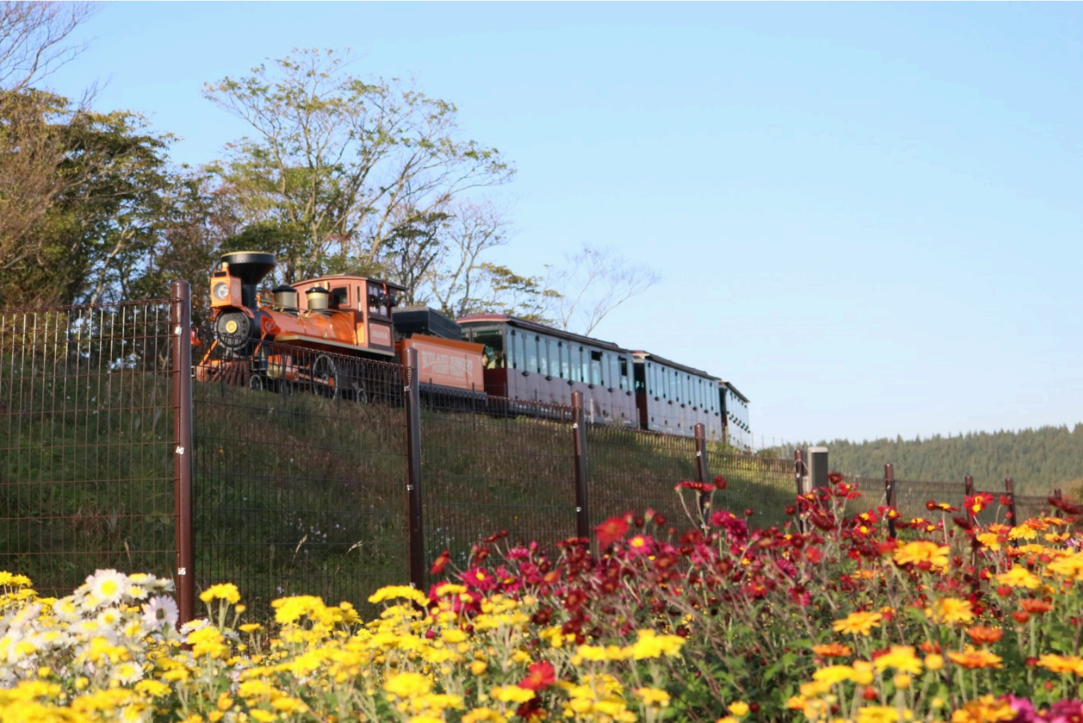 제주도 가을 여행지 추천