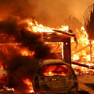 전력설비 관련주 대장주 테마주 TOP5 : 미국 산불