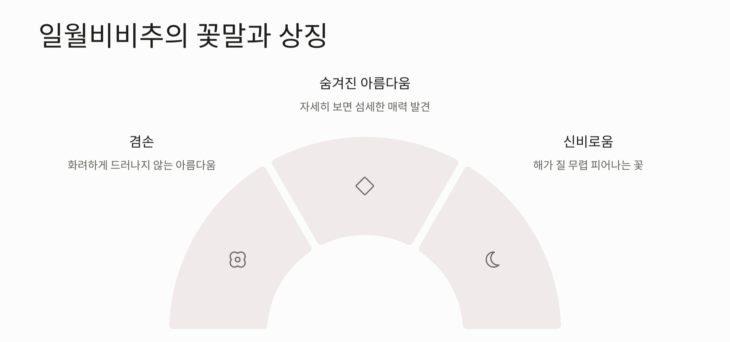 일월비비추