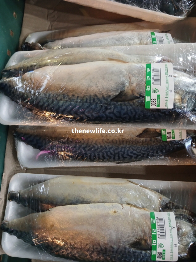 고등어 효능을 최대화하기 위해 신선하게 보관된 고등어 품질 상태를 보여주는 실물 사진