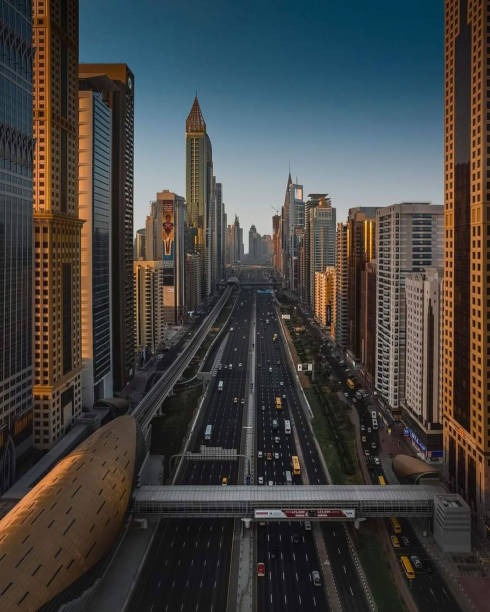 광복절-특사-운전면허-벌점-삭제