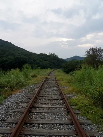 교외선 재개통 노선도 시간표 개통일 예매 알아보기 철도정보_6