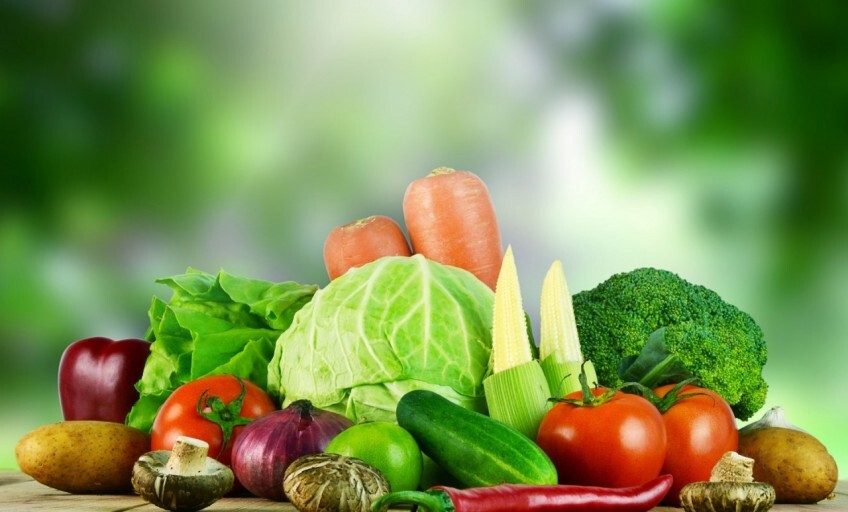 암에 좋은 음식들