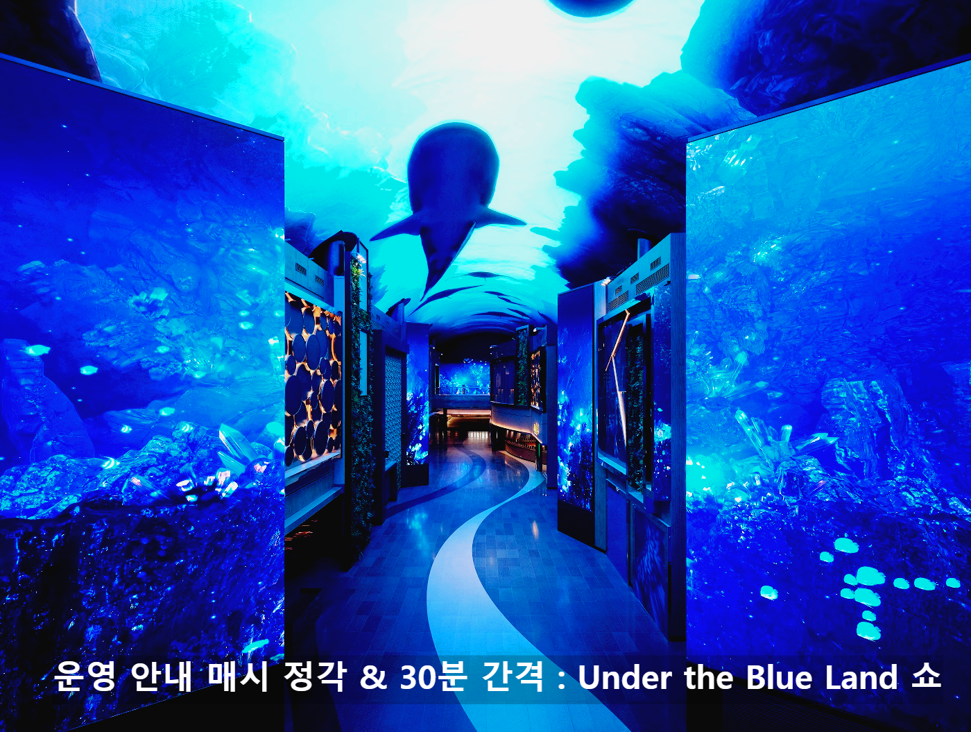 인스파이어 오로라 고래쇼