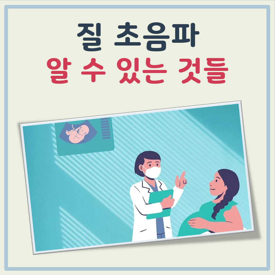 질 초음파 검사 대표 이미지