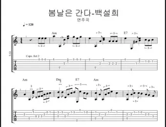 백설희 봄날은 간다 가사 노래 무료듣기_21