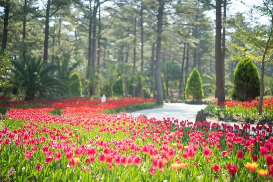 한림 공원 숲길