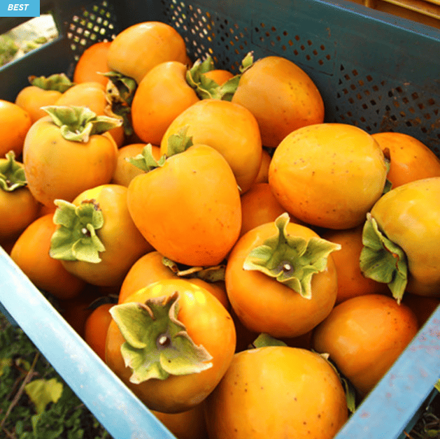 대봉감 추천 순위 TOP 5(24년 11월) - 쿠팡, 네이버 판매 랭킹 분석