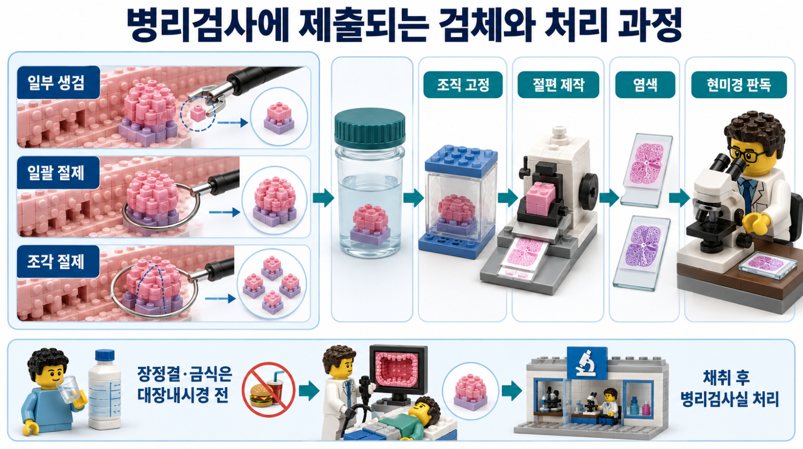 일부 생검·일괄 절제·조각 절제 검체와 조직 고정·절편 제작·염색·현미경 판독 과정