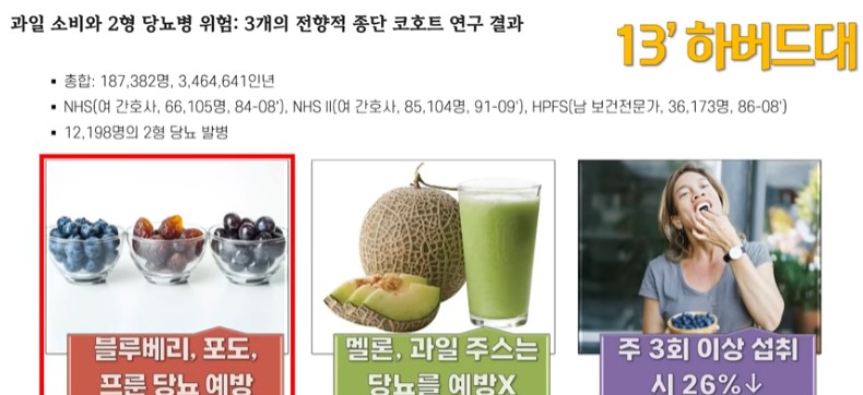 블루베리 예방효과