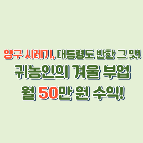 “대통령도 반한 양구 시래기|겨울밥상과 귀농부업, 월 50만 원 수익 비결 공개”