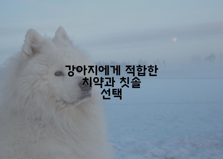 강아지에게 적합한 치약과 칫솔 선택
