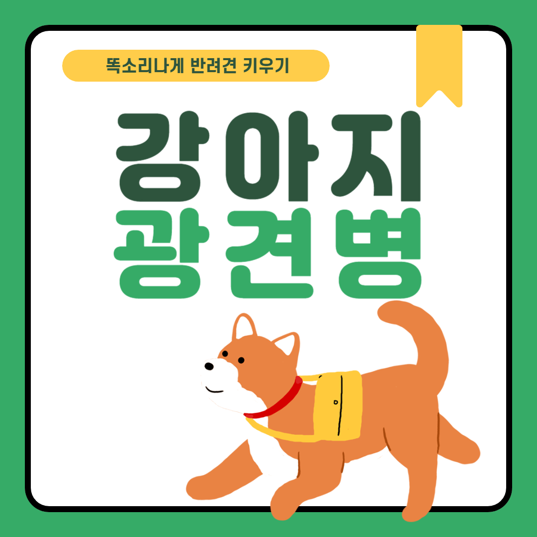 강아지 광견병 감염 원인 증상 접종
