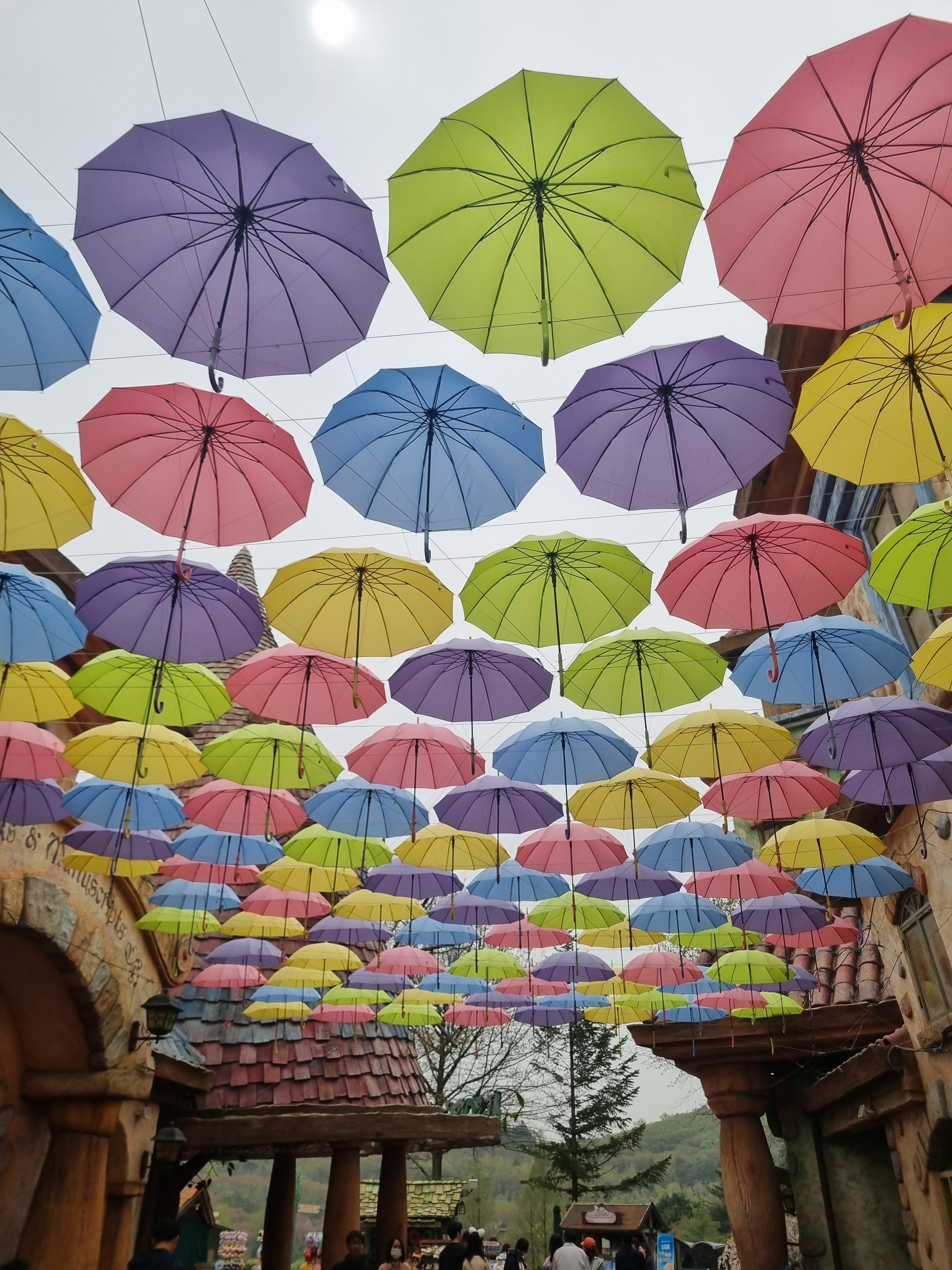 에버랜드 감성교복