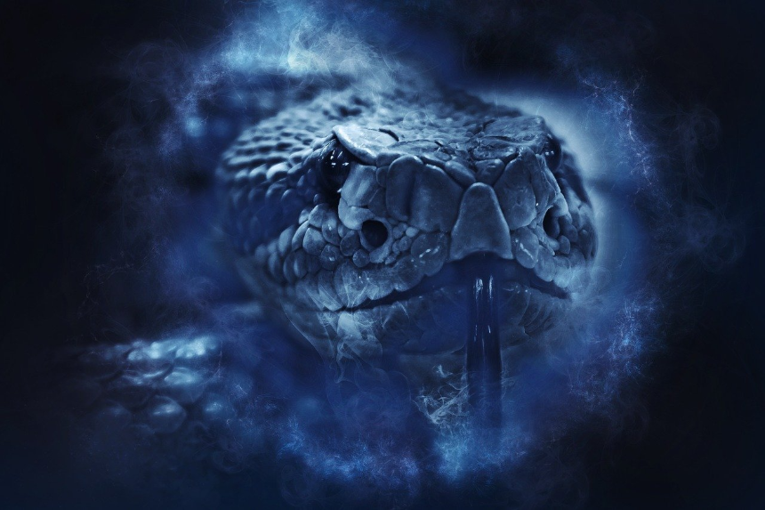 뱀 나오는 꿈 해몽 총정리 - 상황별 의미 & 길몽 vs 흉몽 구분법