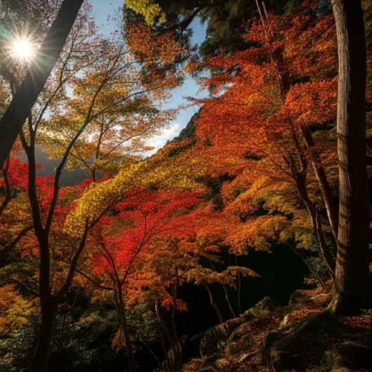 일본 여행을 위한 날씨 (+일본 계절날씨&amp;#44; 여행팁)