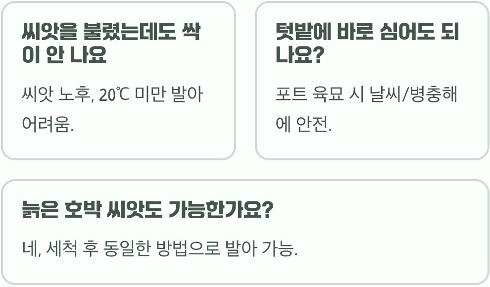 4월에 심는 호박꽃 씨앗&amp;#44; 발아율 200% 높이는 특별한 꿀팁