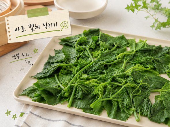 호박잎 찌는법