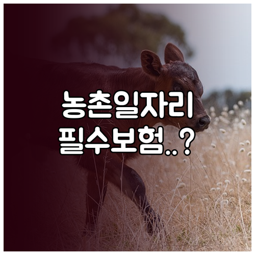 농촌일자리플러스 상해보험 보장 내용 ..