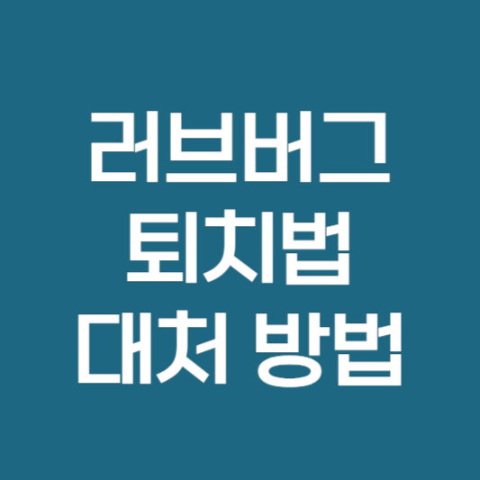 러브버그 퇴치법 및 대처 방법