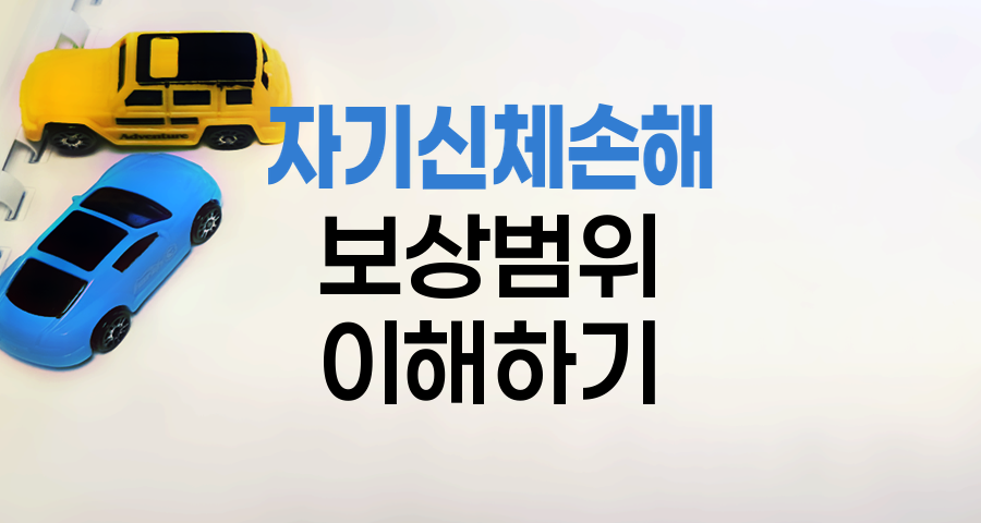 삼성화재 자동차보험 자기신체손해 보상범위