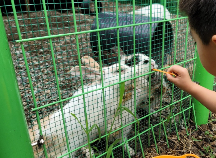 센트럴 곤충 생태농장