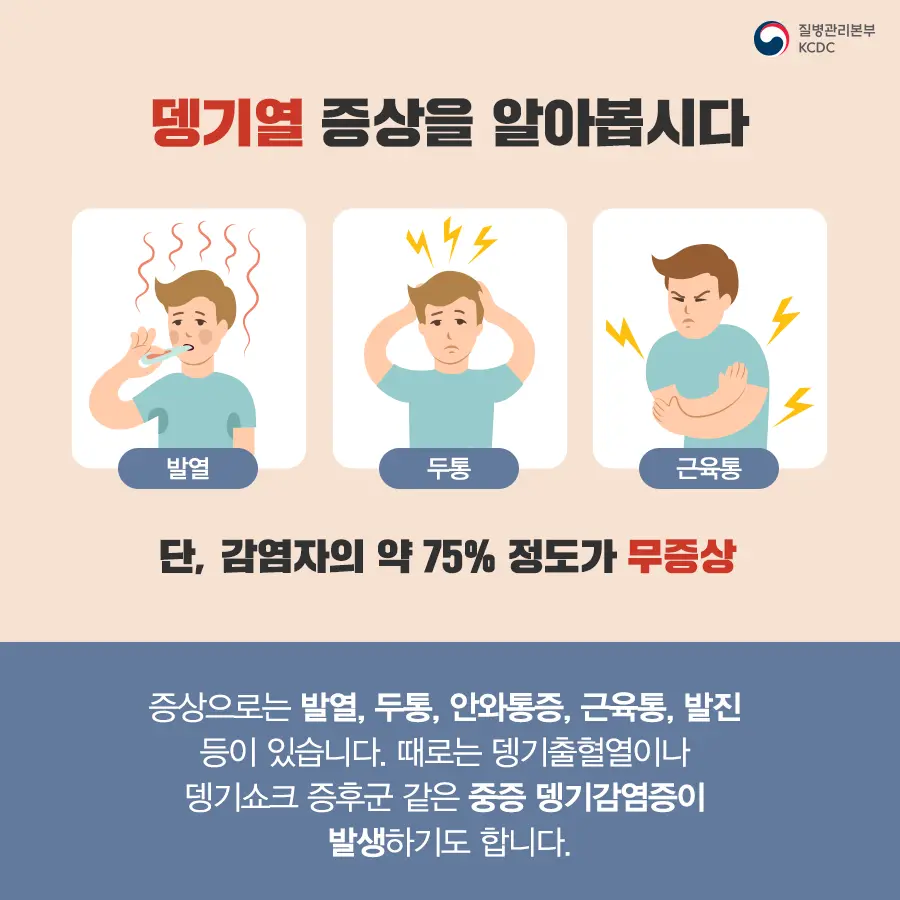 뎅기열 증상