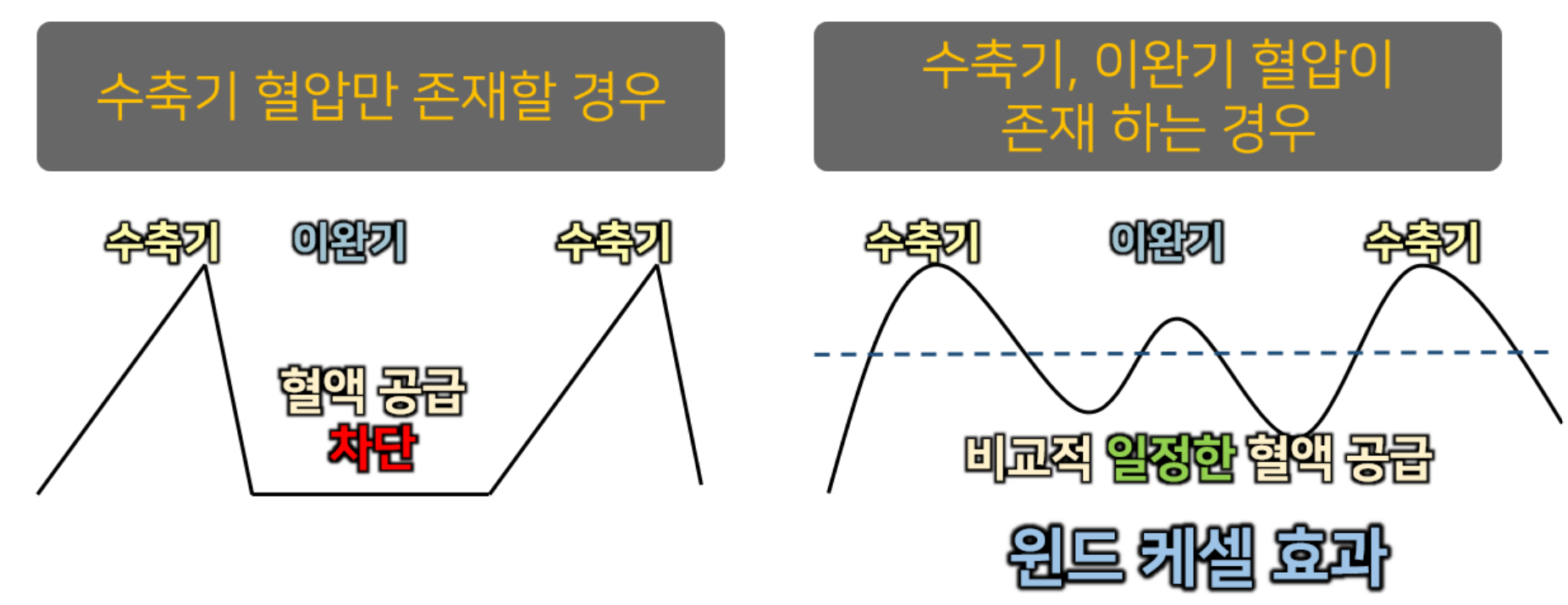 왜 &lsquo;맥압&rsquo;을 이야기해야 하는가