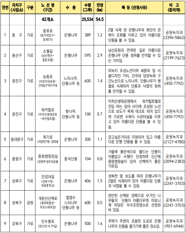 서울 단풍길 99선 소개