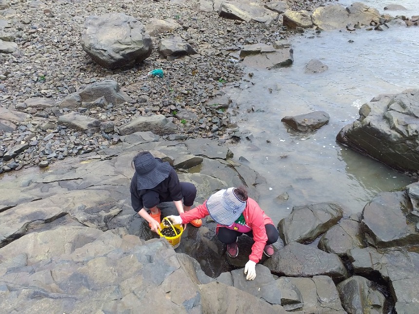 바다고동삶는법