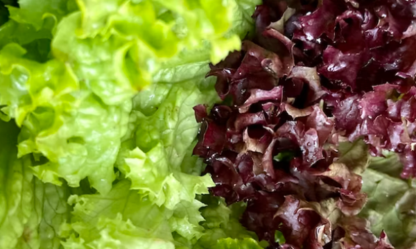 우울할 때 좋은 음식