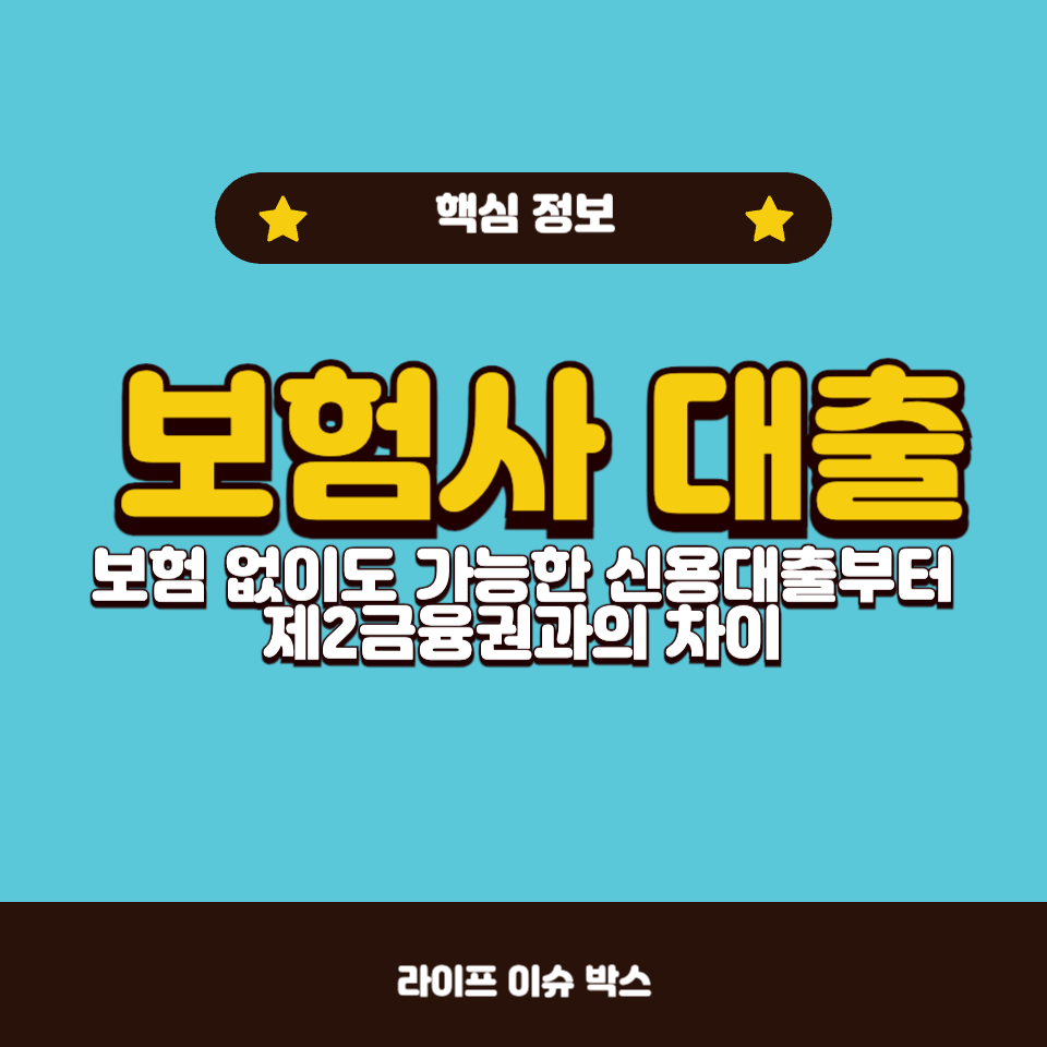 보험사 대출
